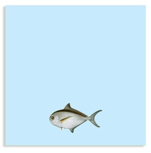 Blocco note 10x10cm Hello Darlin' (Piranha)