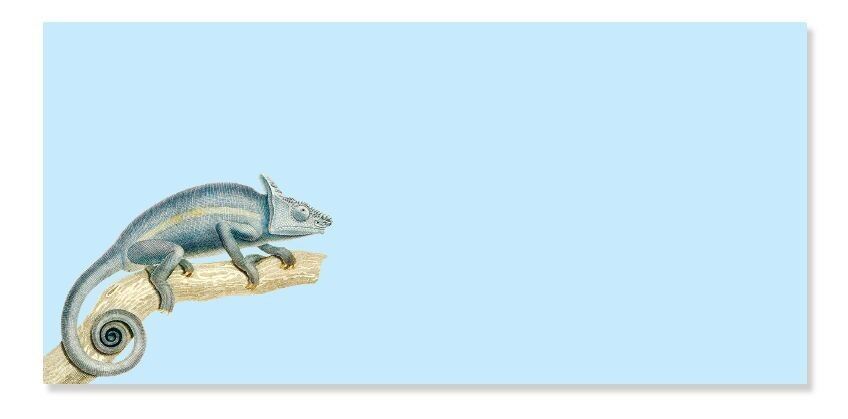 Taccuino Din Lang Karma (Camaleonte).