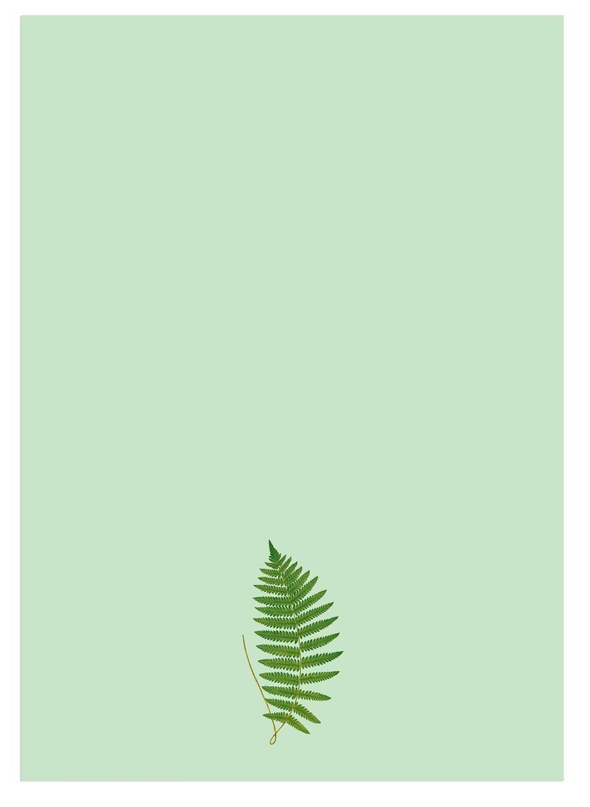 Blocco note A5 felce