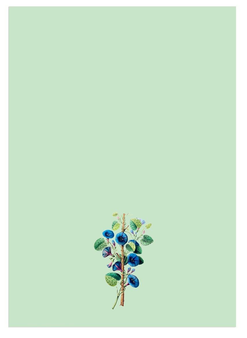 Blocco note A5 ovunque tu sia