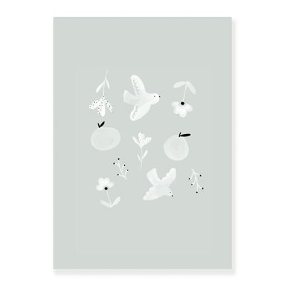 Weiß & Vögel-Plakat
