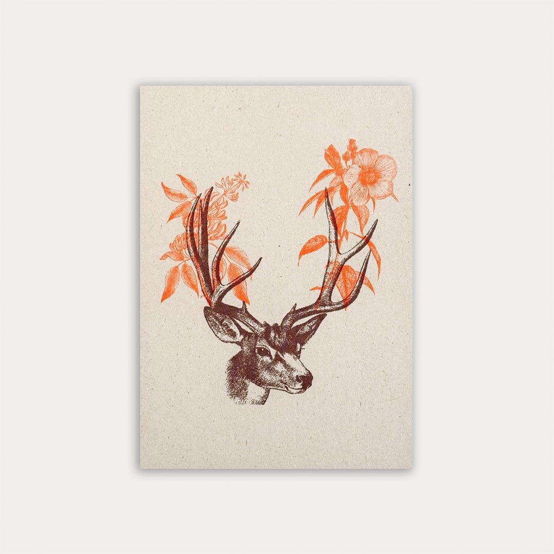 Cartolina / Corna di cervo / Borgogna e arancione