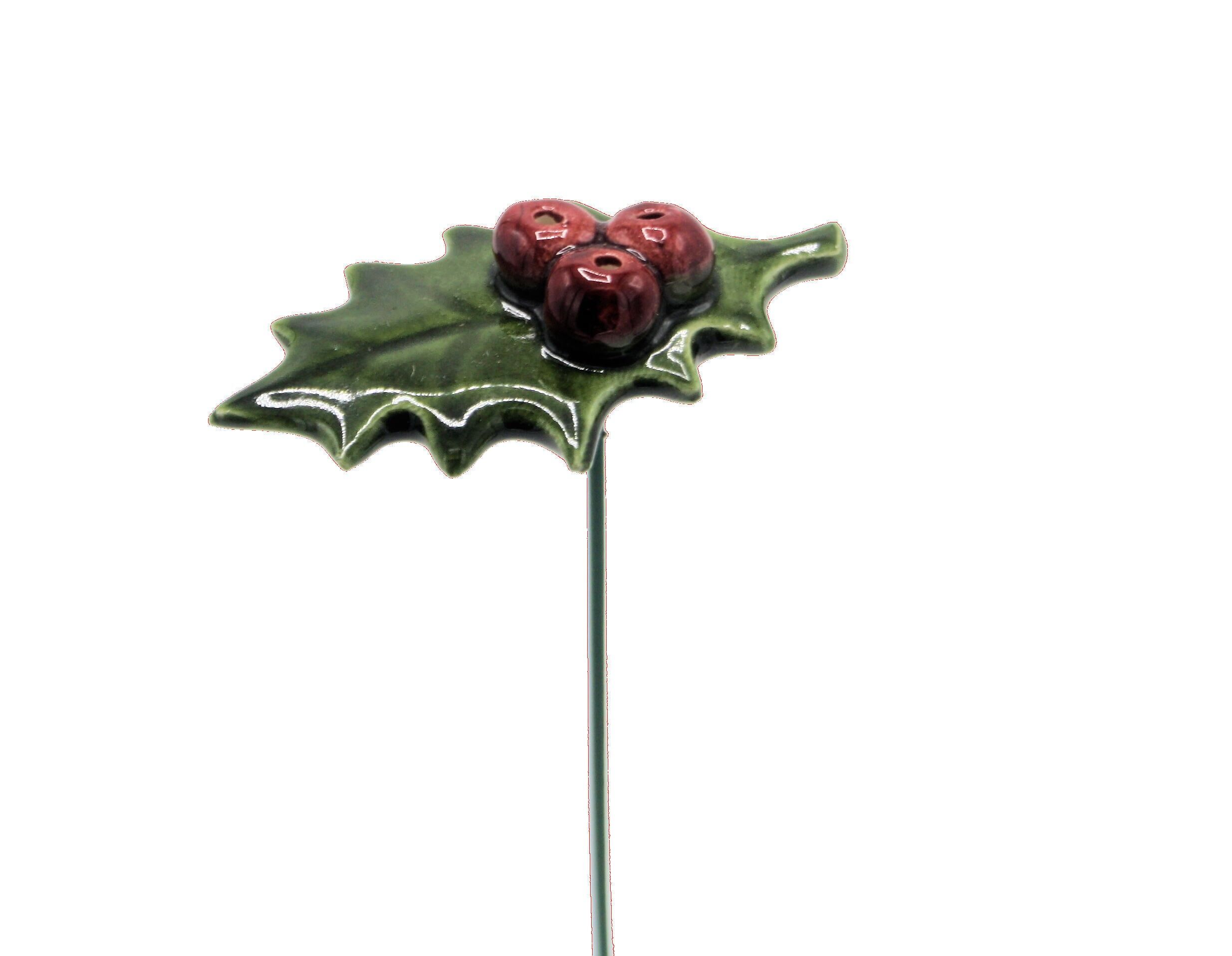 Stechpalme mit 3 Beeren