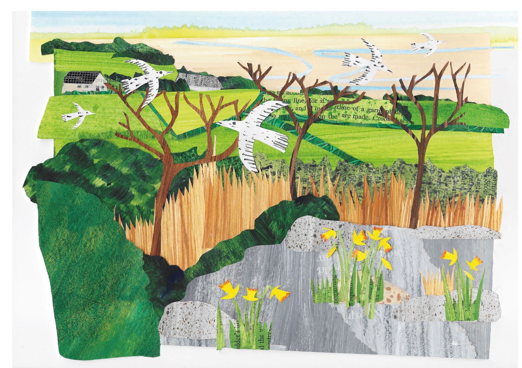 NC353 Blick vom Pepperpot - Gillian Ferguson