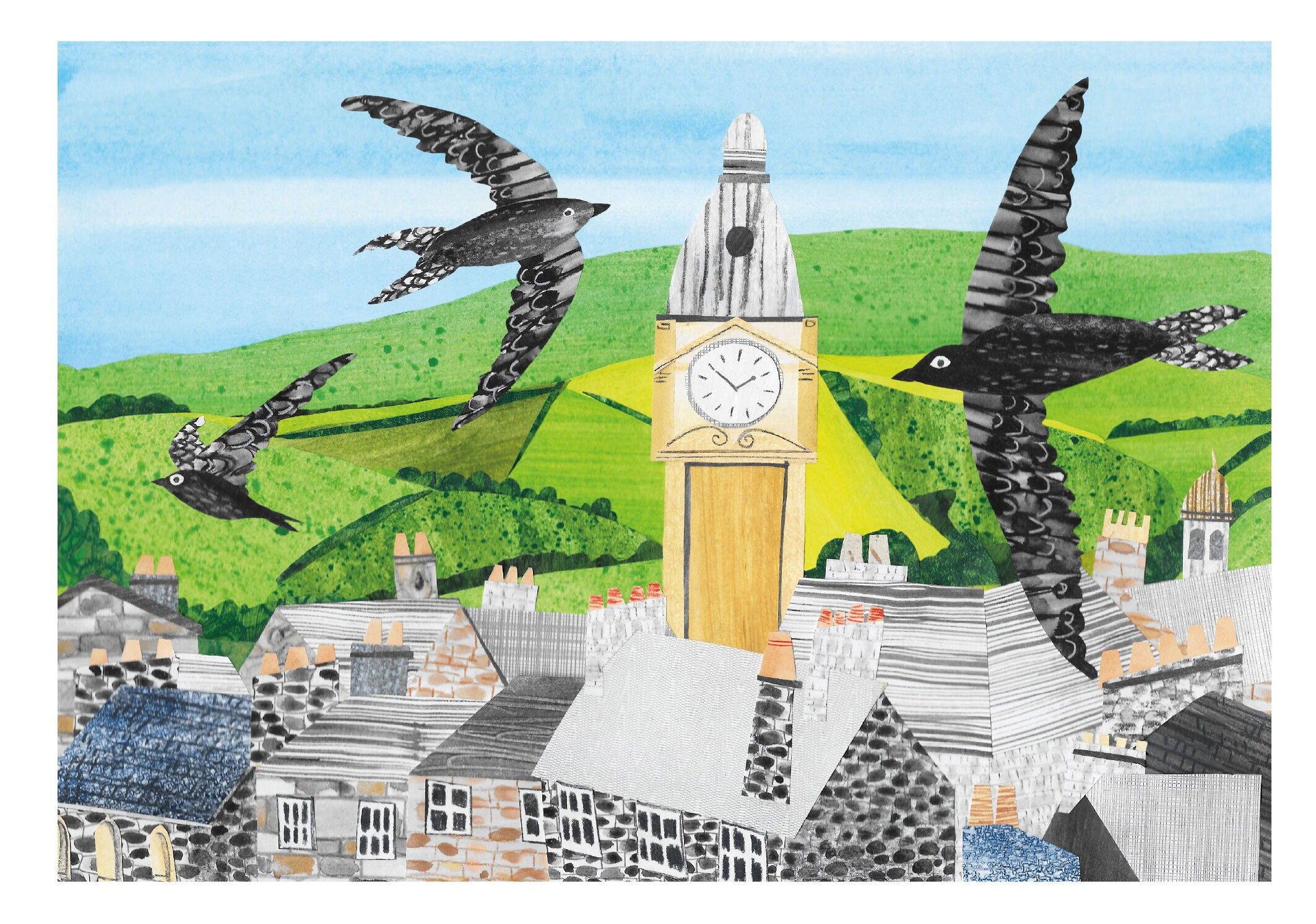 NC355 Ein Schwarm Mauersegler - Gillian Ferguson