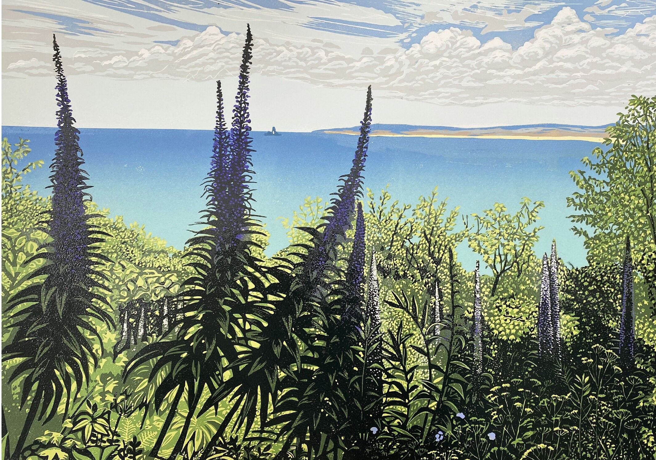 NC050 - Godrevy - Hazel McNab