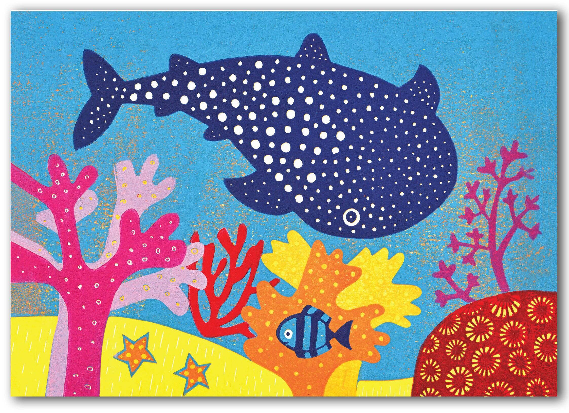 NC437 Walhai - Kat Lendacka