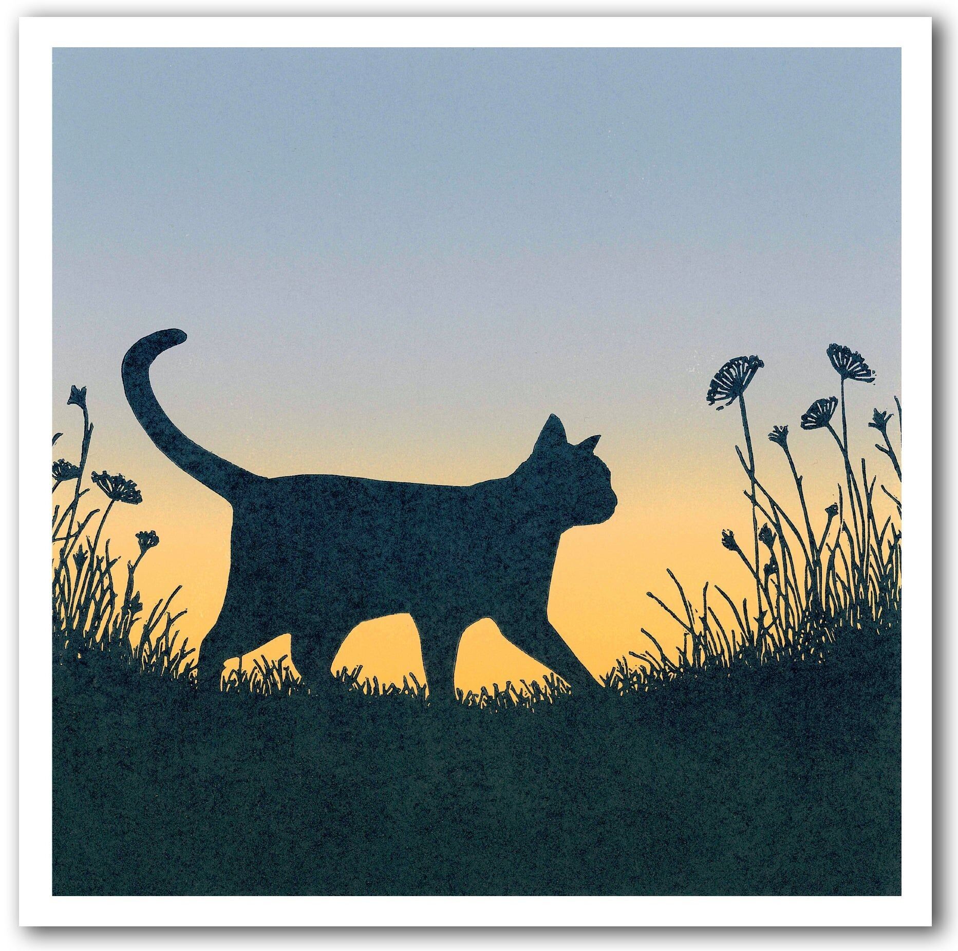 NC469 Prowl - Megan Hall