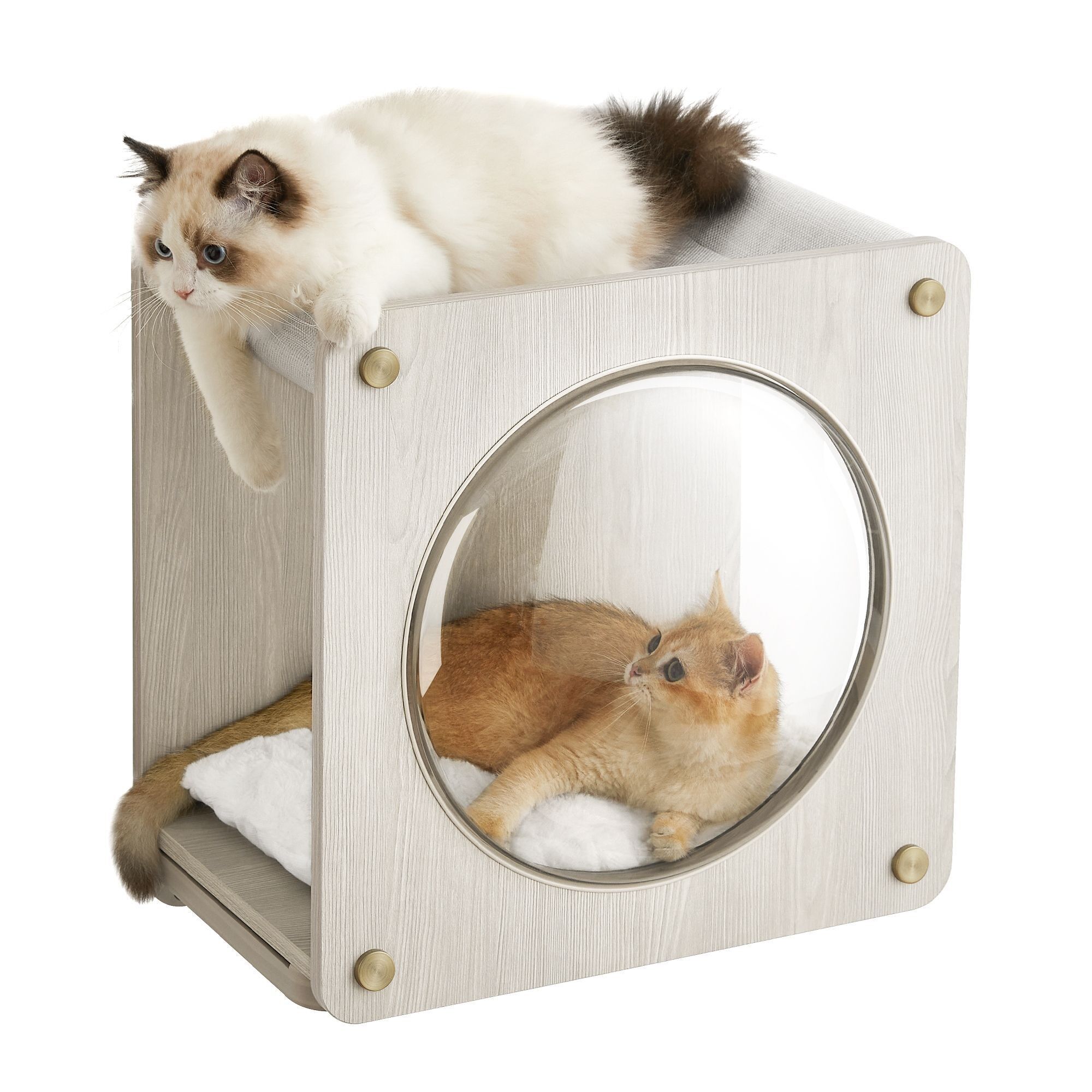 Collection Clickat - N° 010 Niche murale pour chat, 46.6x29.5 x 46.6 cm