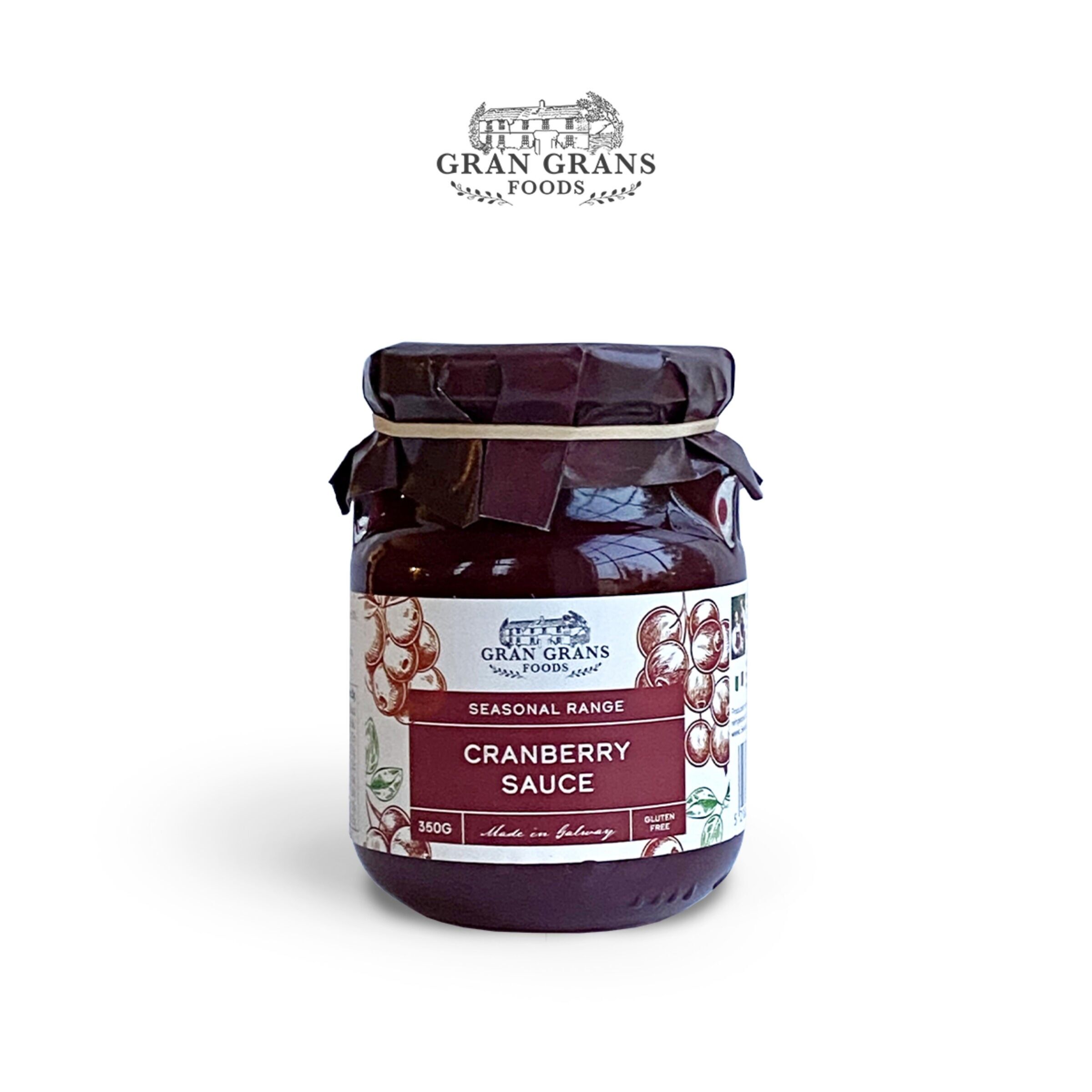 Salsa di mirtilli fatta in casa