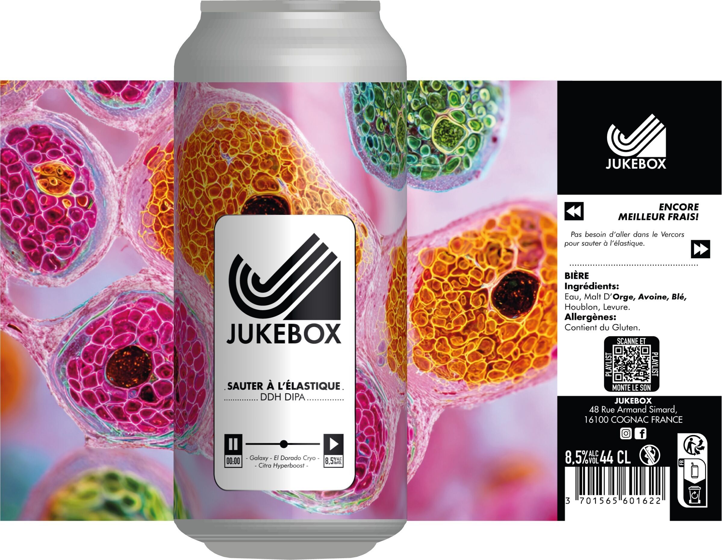 Bungee Jumping - DDH DIPA - 44cl