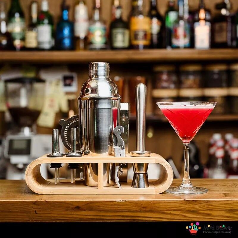 Cocktail Shaker Mixology Gift Set with 11 Accessories 750 ml Silver