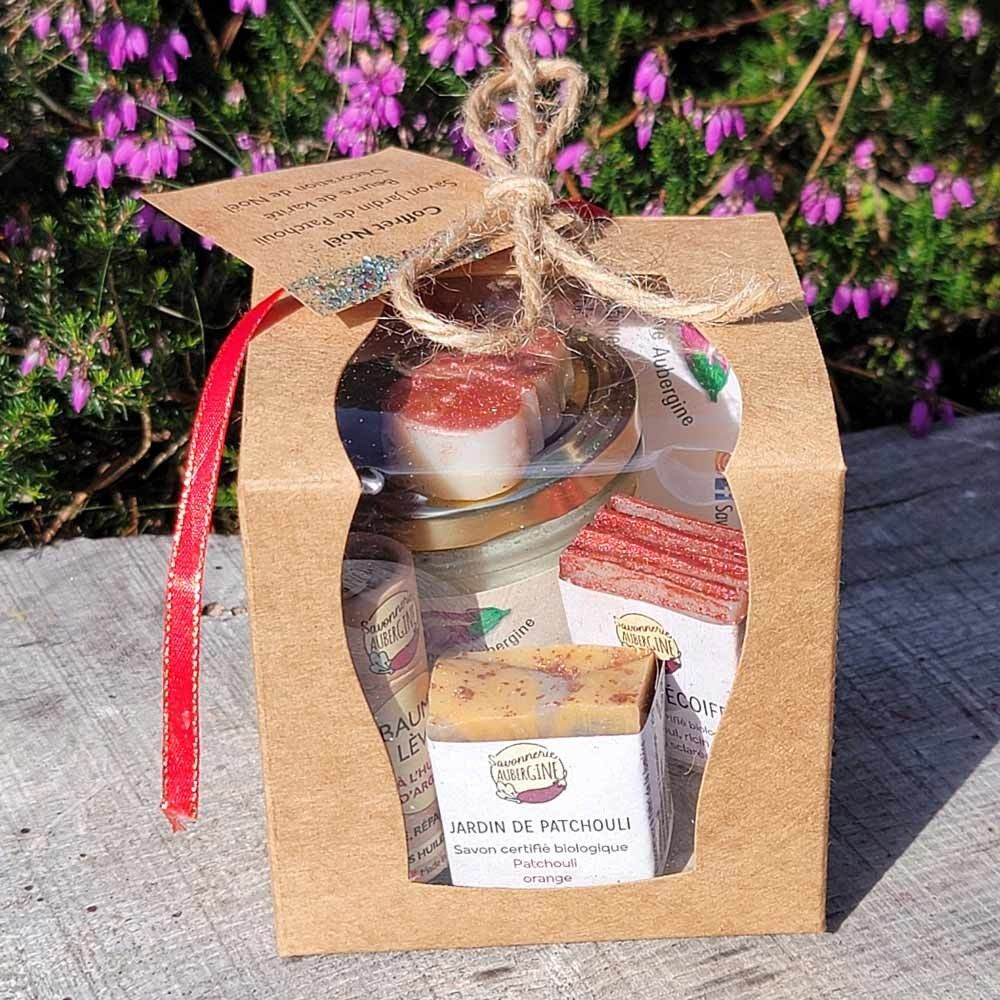 Christmas Gift Set - Shea Butter + Argan Lip Balm + Mini Soaps (Cosmetics)