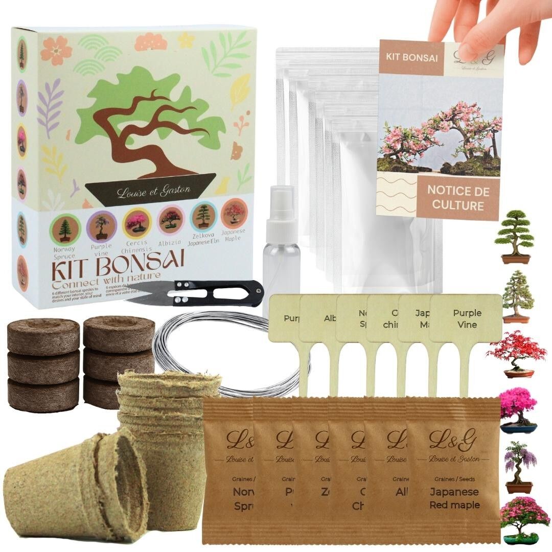 L&G - Kit per la coltivazione di 6 bonsai - Semi e accessori - Idea regalo per il giardinaggio | Prodotto in Francia