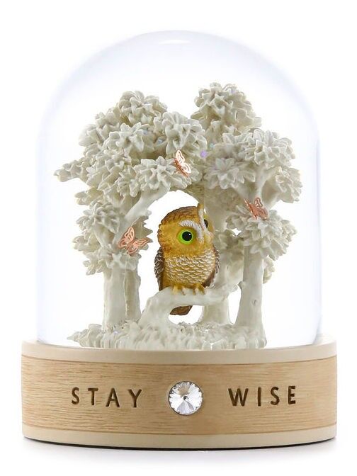 Boule à Neige avec Hibou, Symbole de Sagesse et de Connaissance I Glassglobe