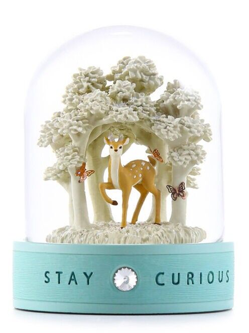 Boule à Neige Stay Curious - Esprit d'Exploration et Joie des Découvertes