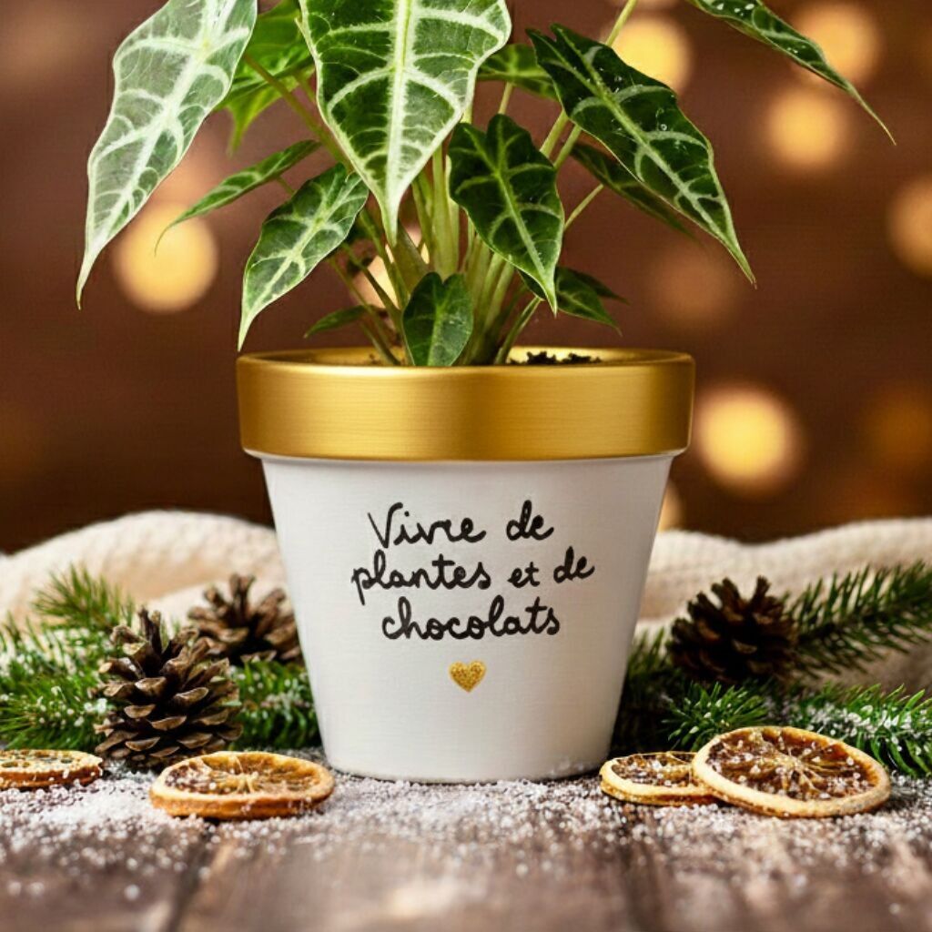 Vaso da fiori dorato "Vivere di piante e cioccolatini" - Vaso da fiori dorato natalizio - Idea regalo di Natale originale, realizzato in Francia - Fatto a mano