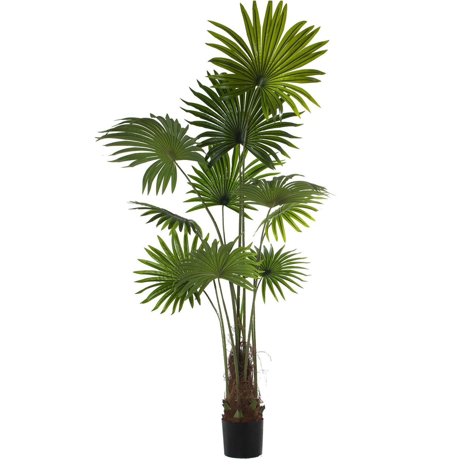 Künstliche PU-Palme, 180 cm × 180 cm, ST26609