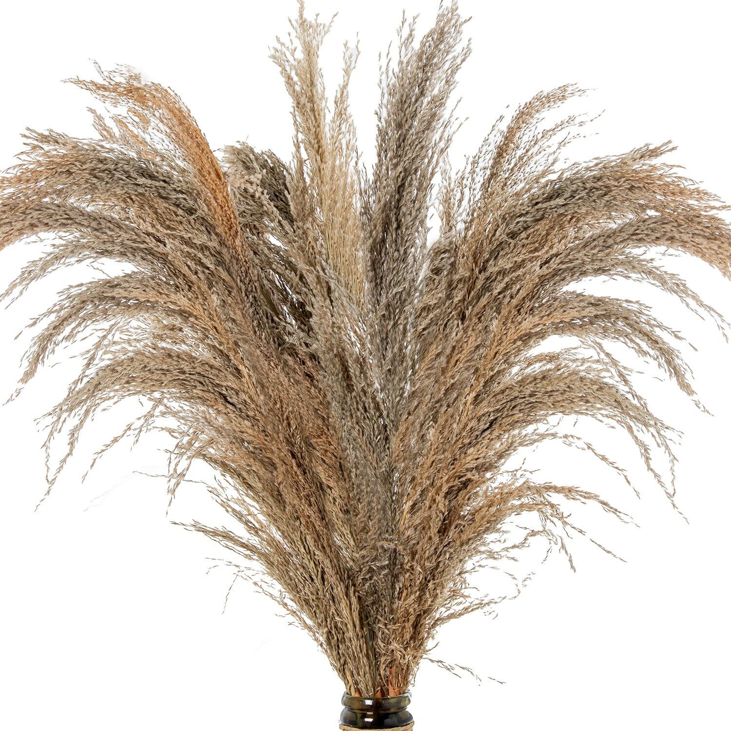 Cremefarbener Naturrohrzweig 110 cm ST26622