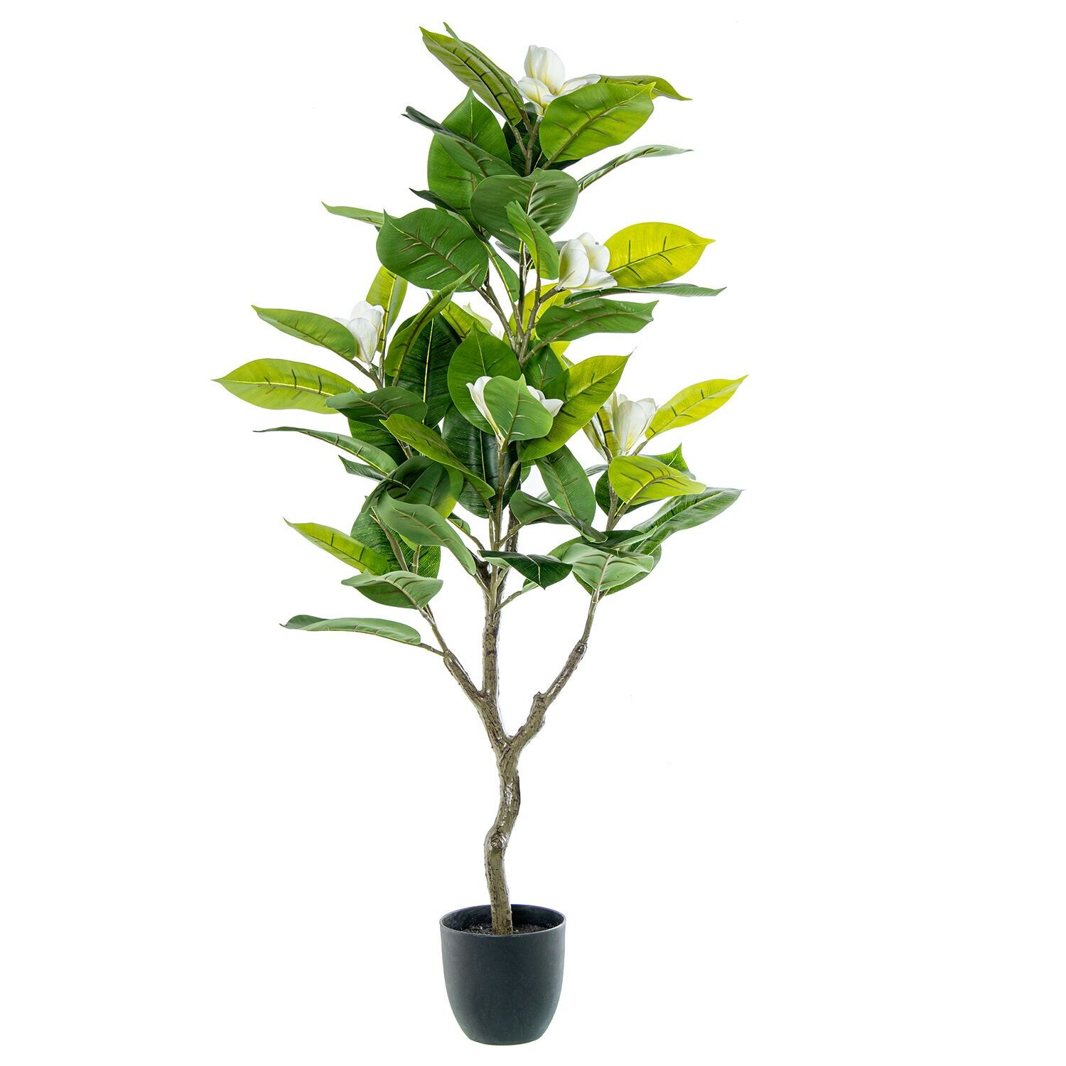 Künstliche Magnolienpflanze 130 cm 130 cm ST26667