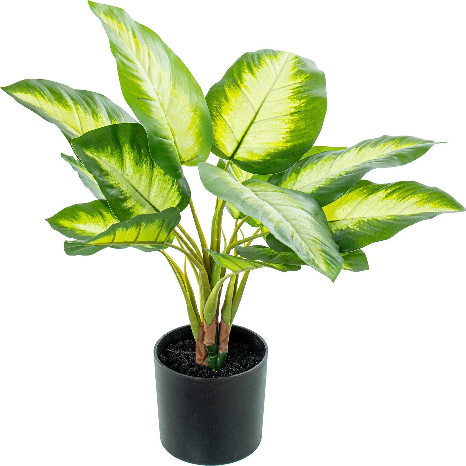 Künstliche Aglaonema-Pflanze 50 cm - 4 Gabeln 50 cm ST26688