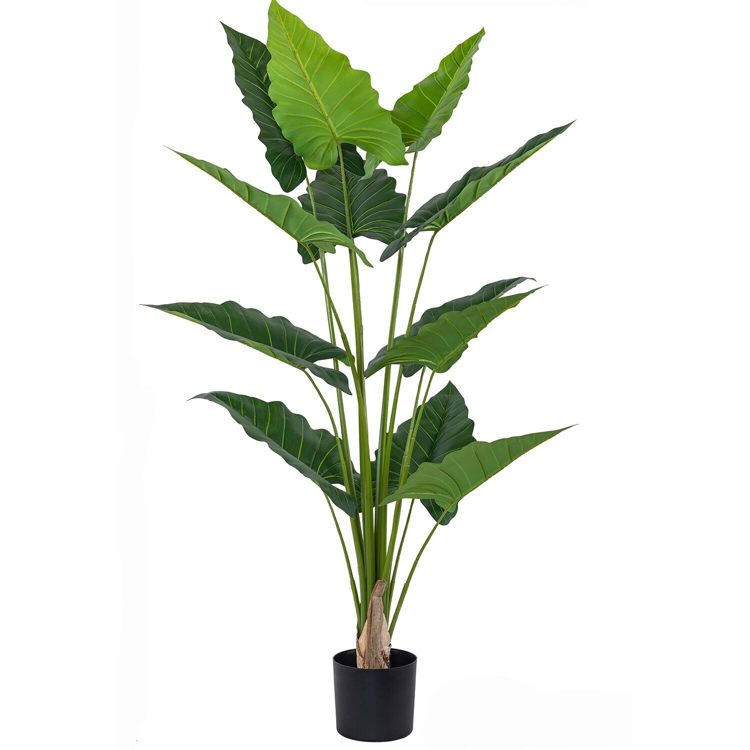 Künstliche Alocasia-Pflanze, 170 cm, 12 Blätter, ST26719