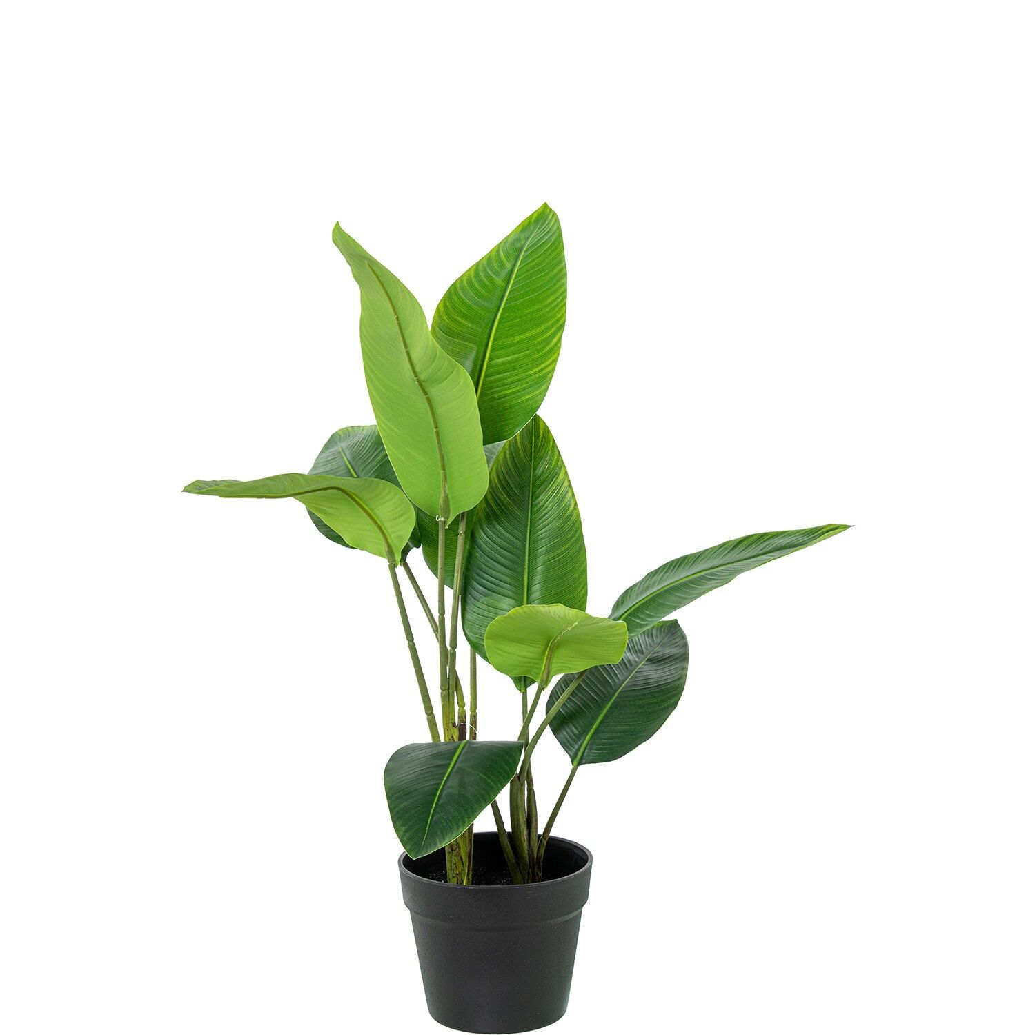 Planta artificial arbol del viajero 70 cm 2 troncos 10 hoj 70 cm ST26714