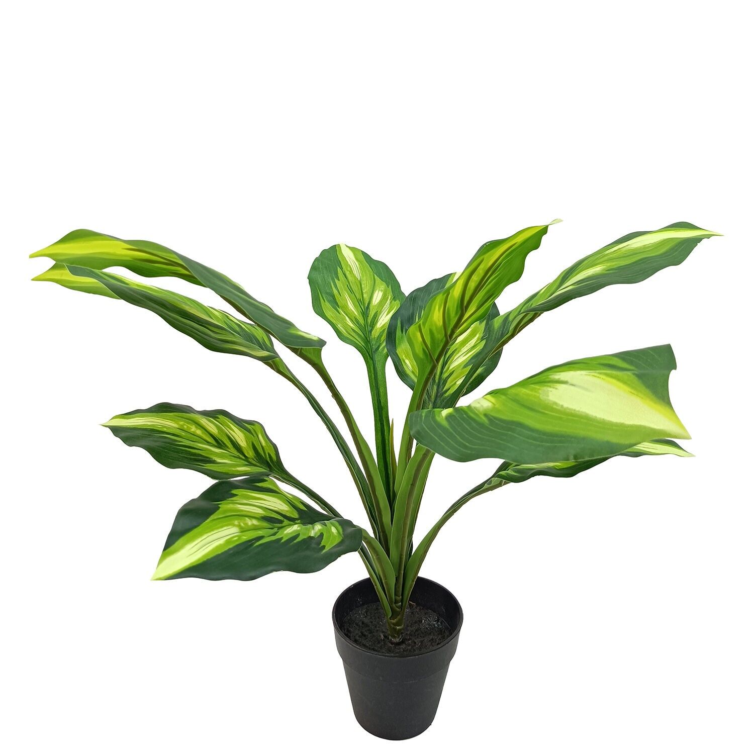 Künstliche Aglaonema-Pflanze, 50 cm, 11 Blätter, 50 cm, ST26725