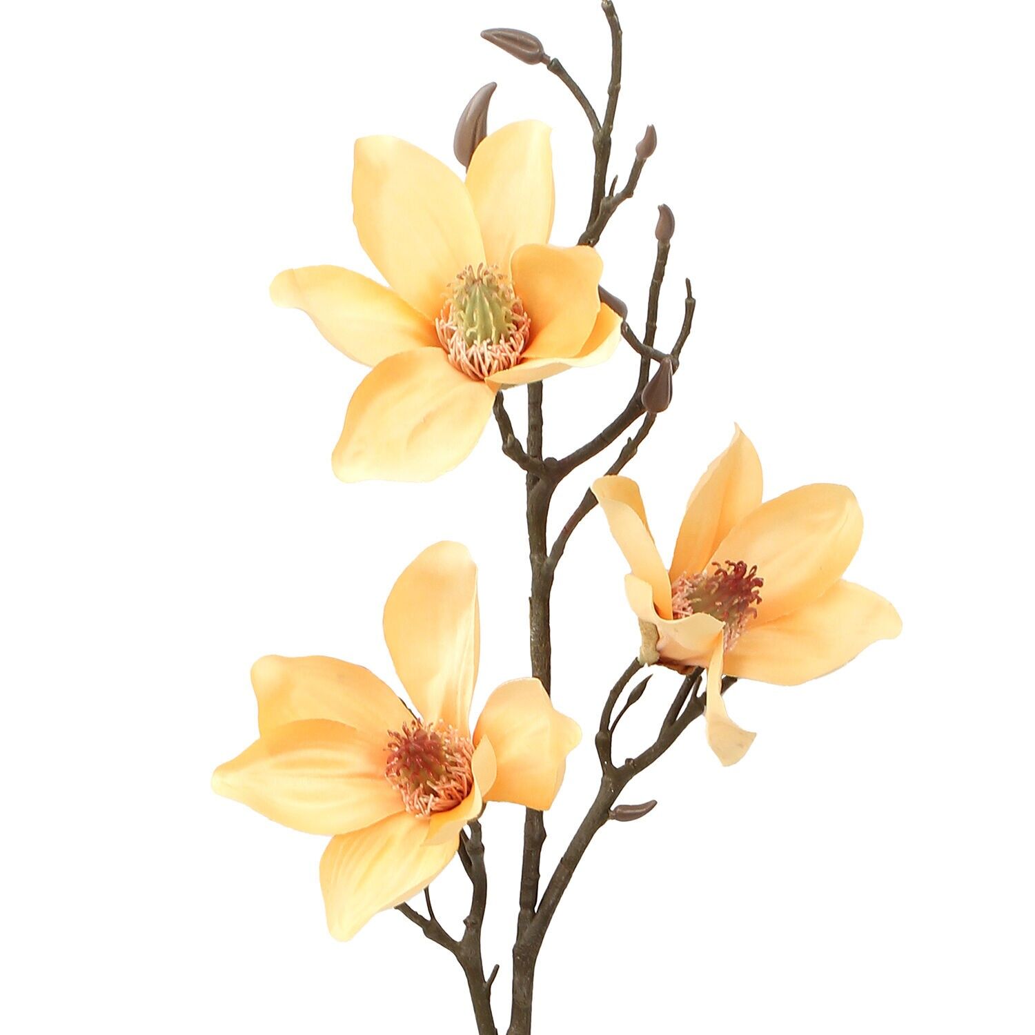 Natürlicher Zweig mit gelben Blüten, 91 cm, ST27063