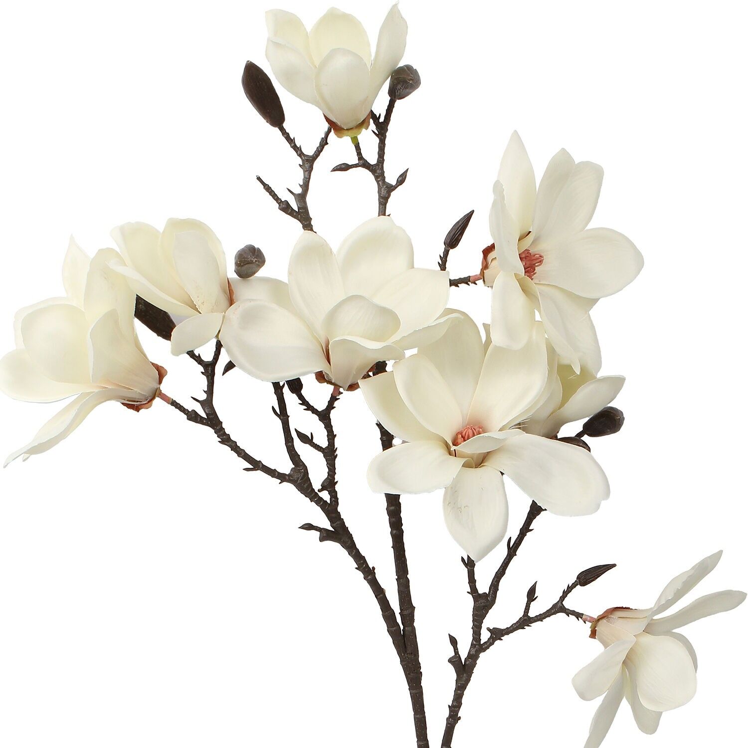 Natürlicher Zweig mit cremefarbenen Blüten, 87 cm, ST27067