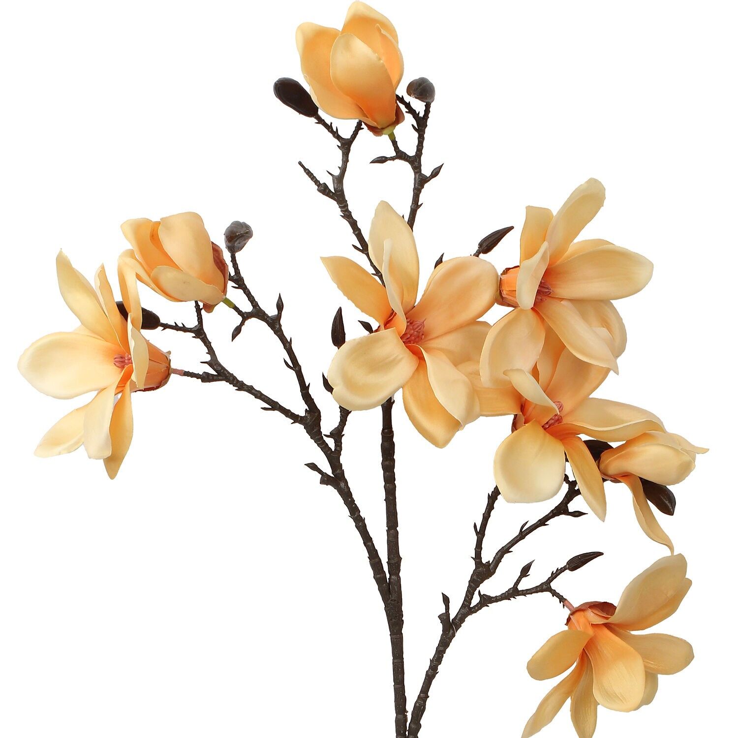 Natürlicher Zweig mit gelben Blüten, 87 cm, ST27069