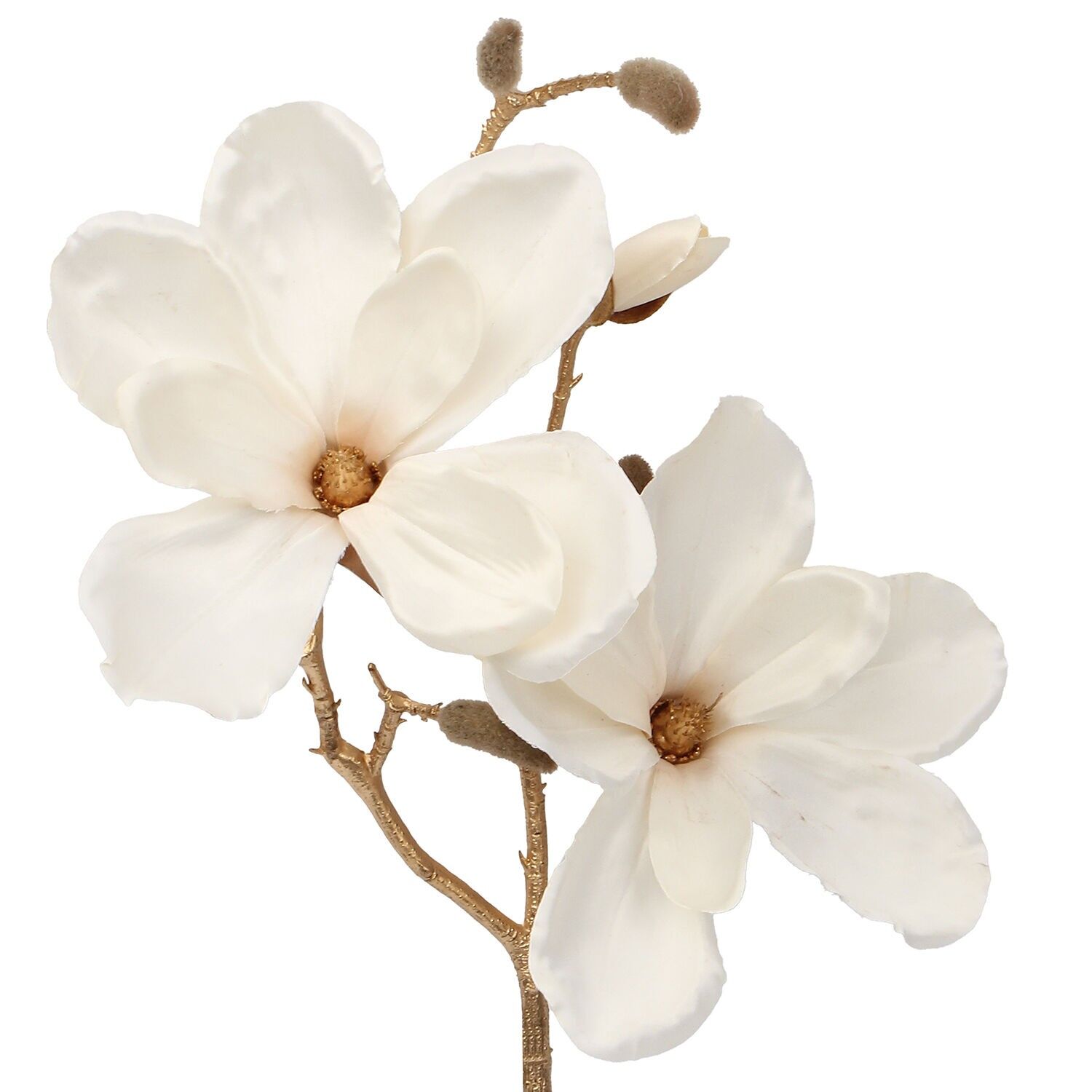 Goldzweig mit cremefarbenen Blüten, 50 cm, ST27074