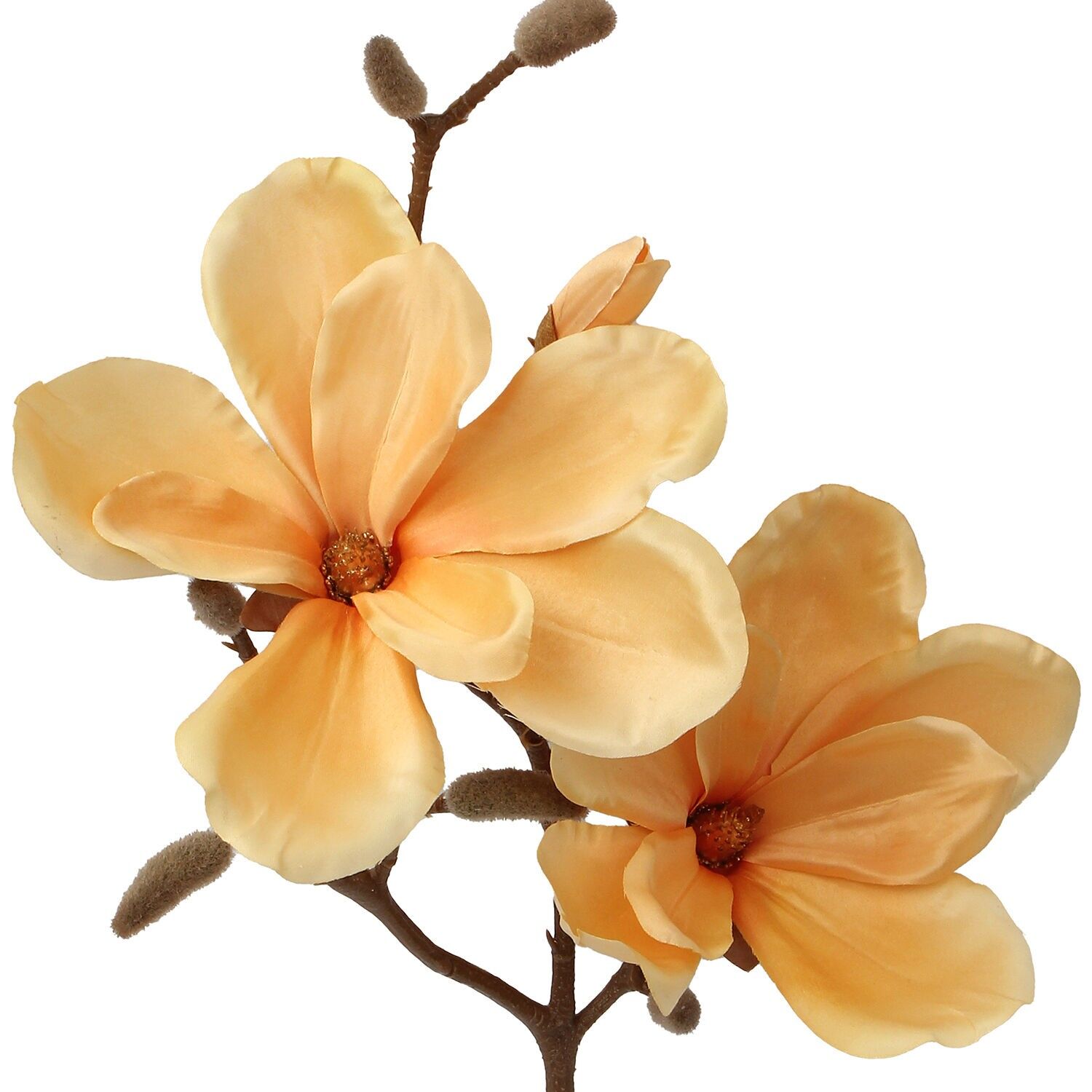 Natürlicher Zweig mit gelben Blüten, 50 cm, ST27075