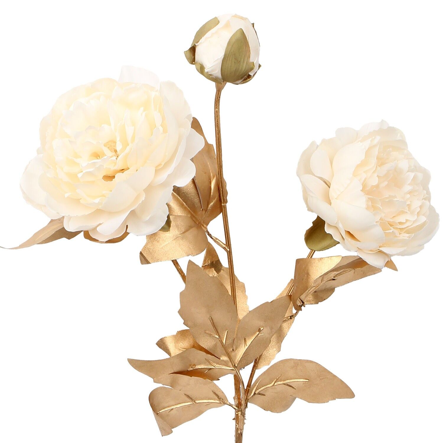 Goldzweig mit cremefarbenen Blüten, 65 cm, ST27083