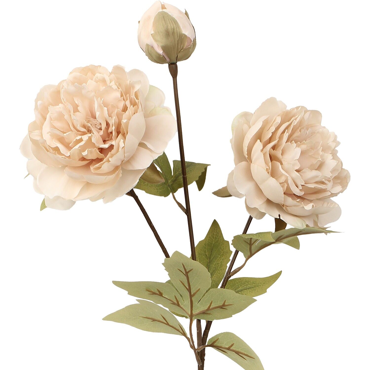 Natürlicher Zweig mit rosa Blüten, 65 cm, ST27084