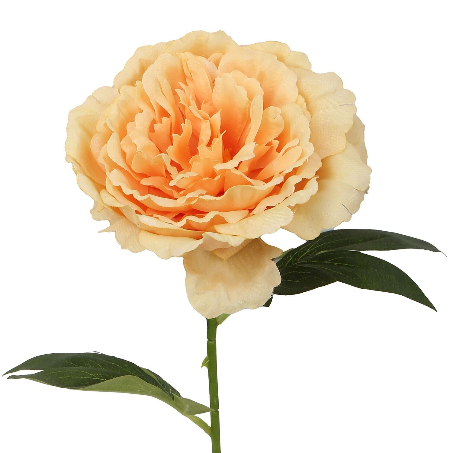 Gelbe Blume mit natürlichem Stiel, 52 cm, ST27088