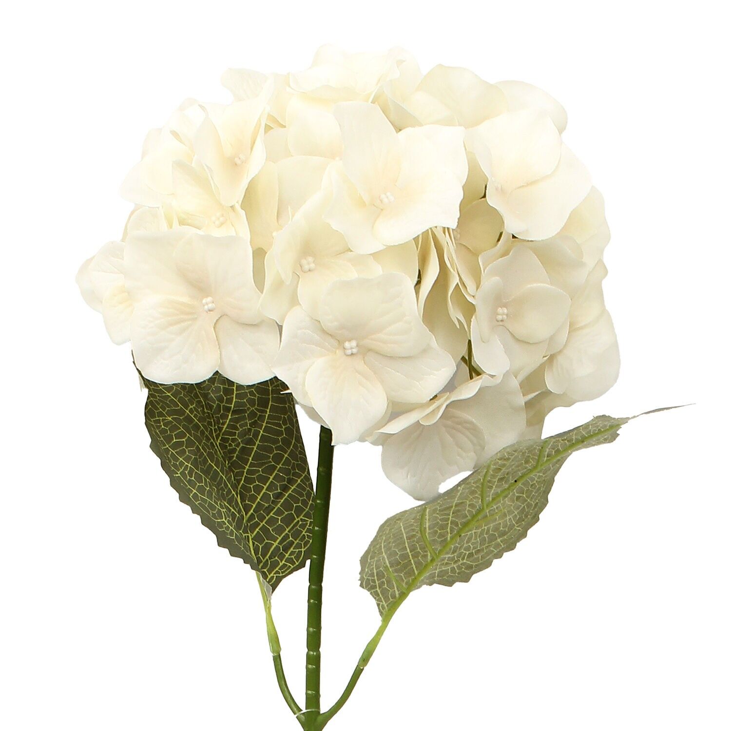 Cremefarbene Blume mit Naturstiel, 66 cm, ST27092