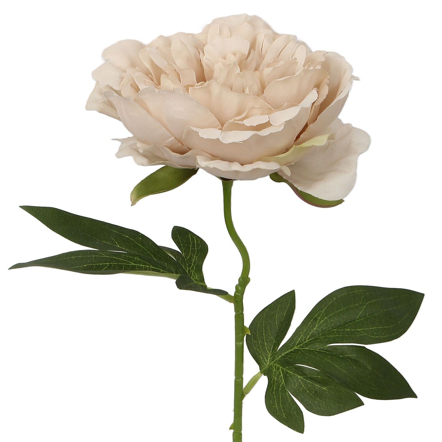Rosa Blume mit Naturstiel, 52 cm, ST27090