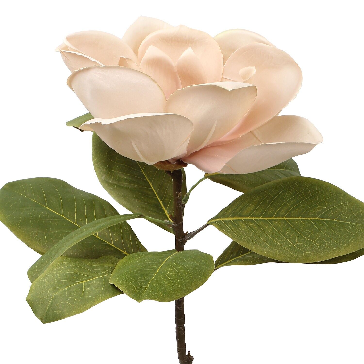 Rosa Blume mit Naturstiel, 70 cm, ST27106