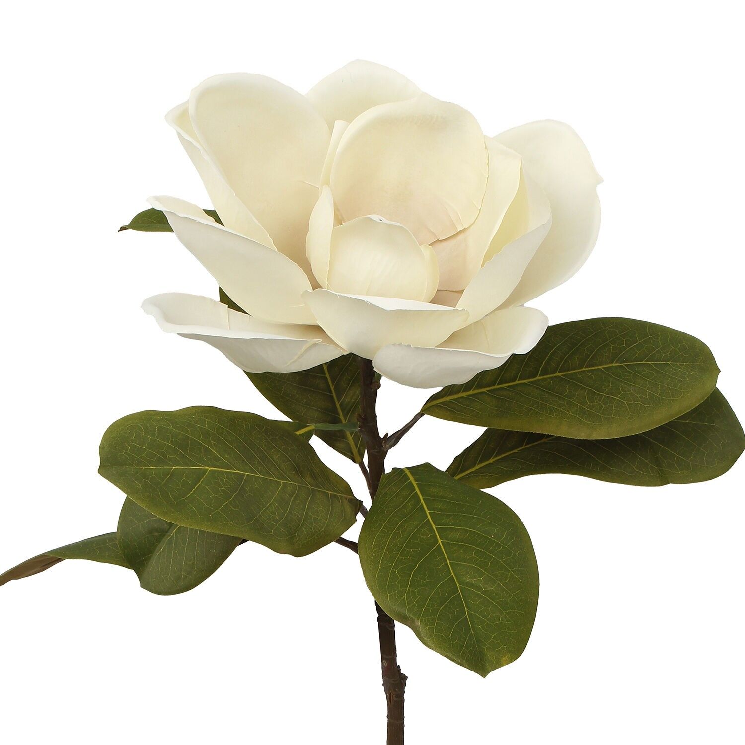 Cremefarbene Blume mit Naturstiel, 70 cm, ST27104