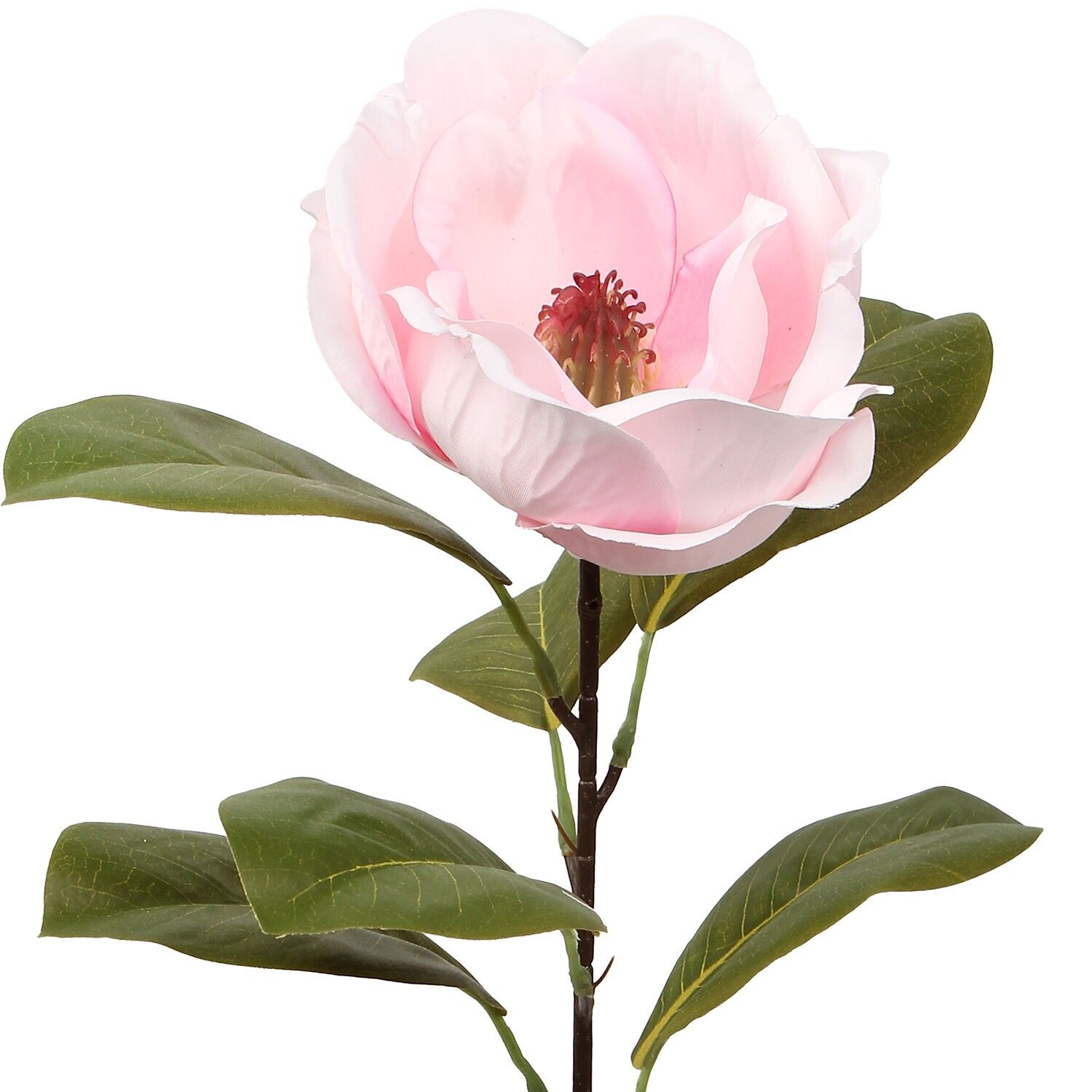 Fuchsienblüte mit Naturstiel 70 cm ST27110