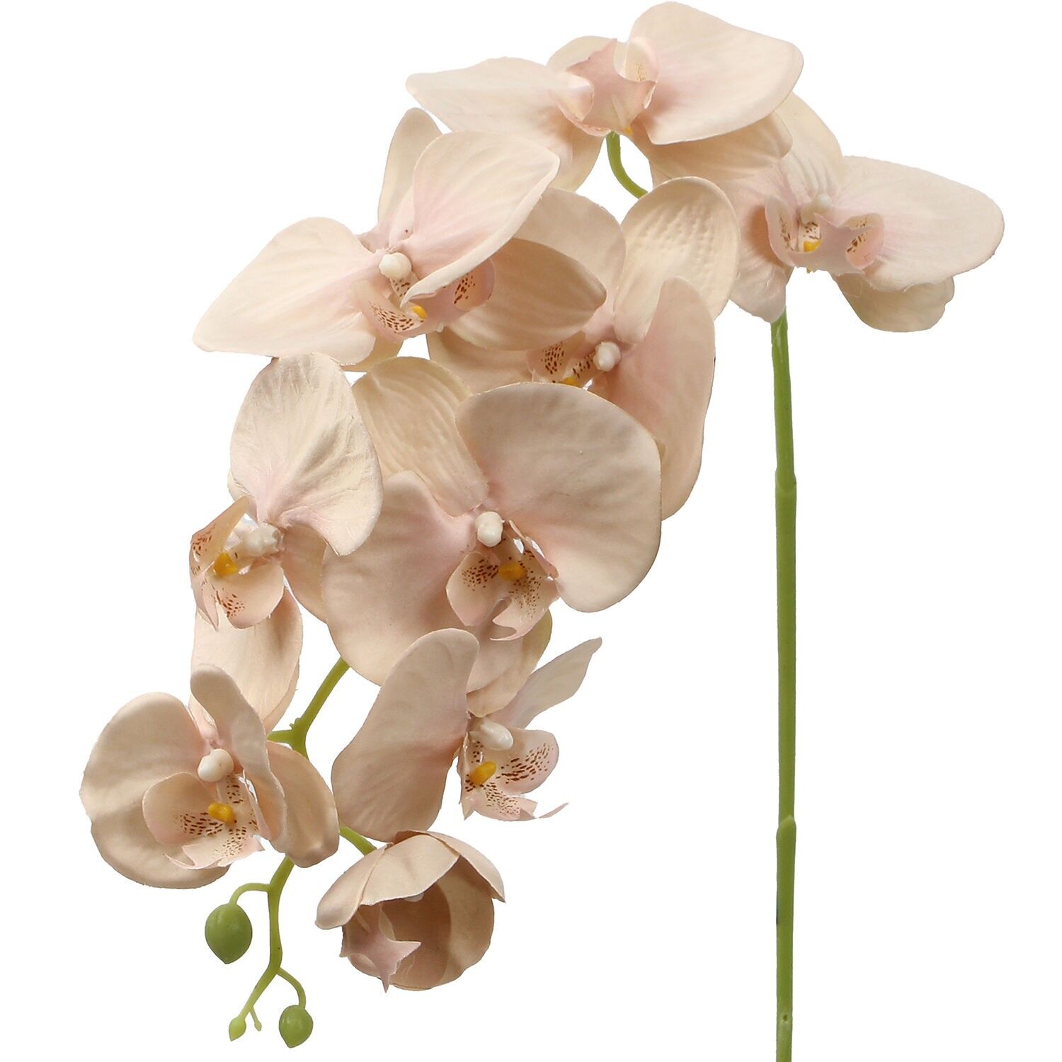 Natürlicher Ast mit rosa Orchideen 96cm ST27121