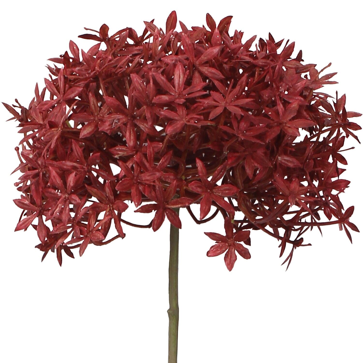 Braune Blume mit natürlichem Stiel, 63 cm, ST27129