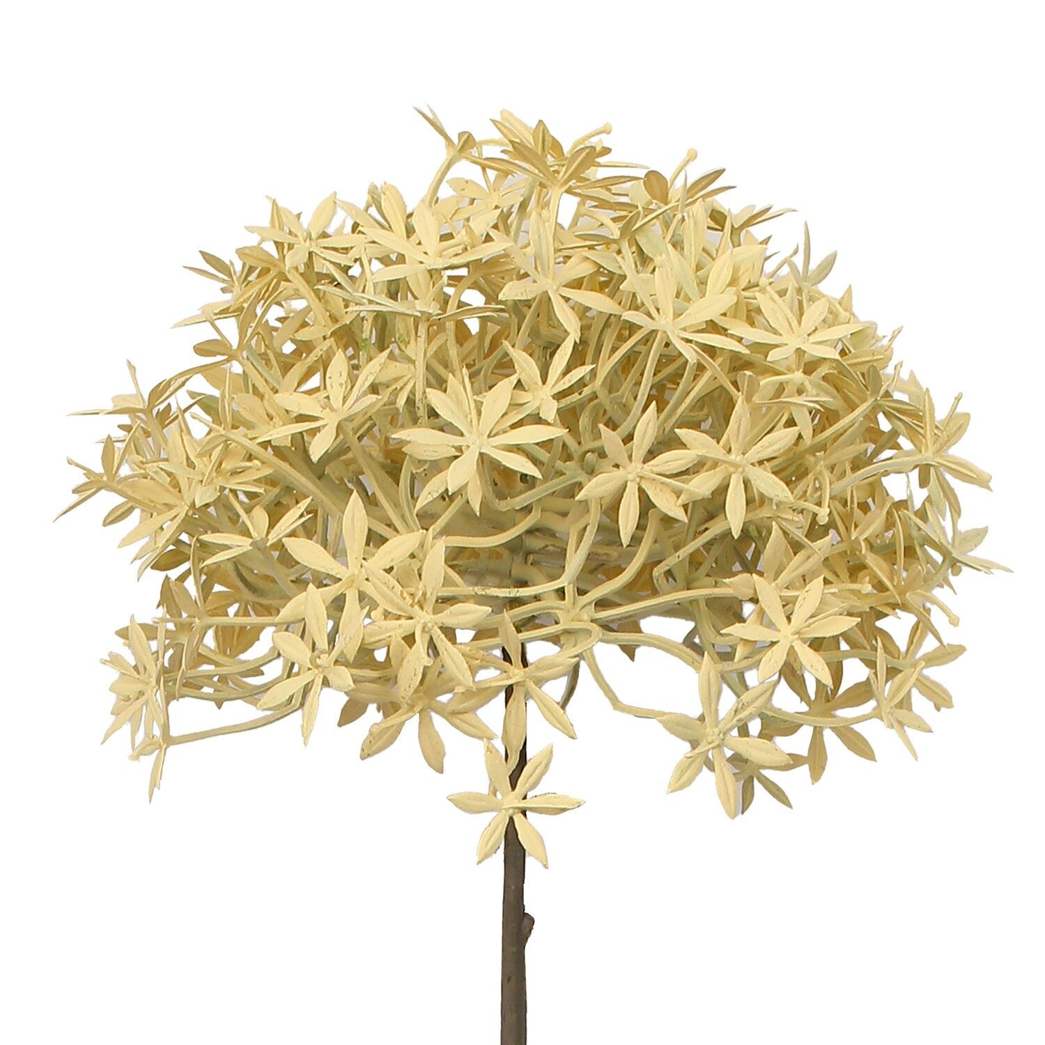 Cremefarbene Blume mit Naturstiel, 63 cm, ST27127
