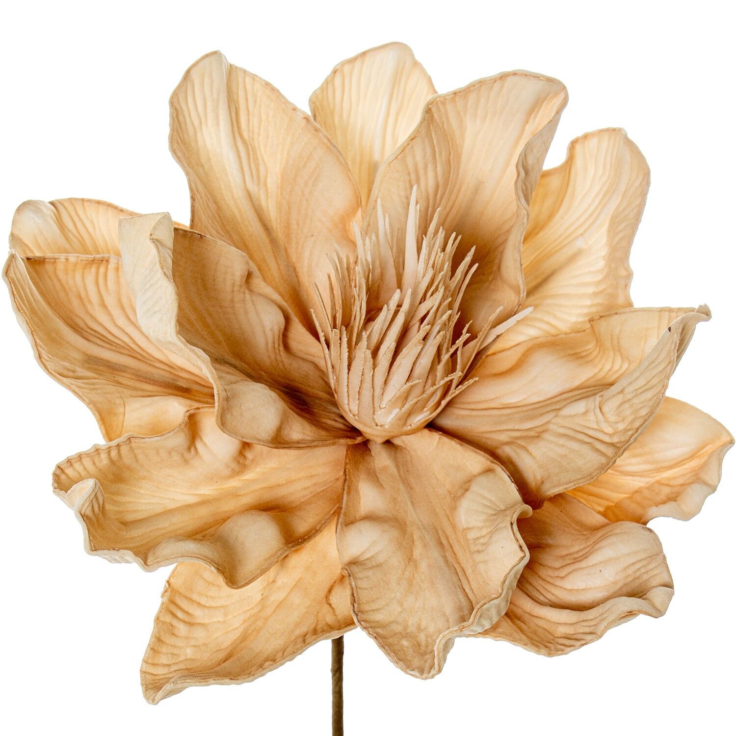 Beige künstliche Blume aus EVA-Schaum und Papier, 20 x 70 cm ST27350