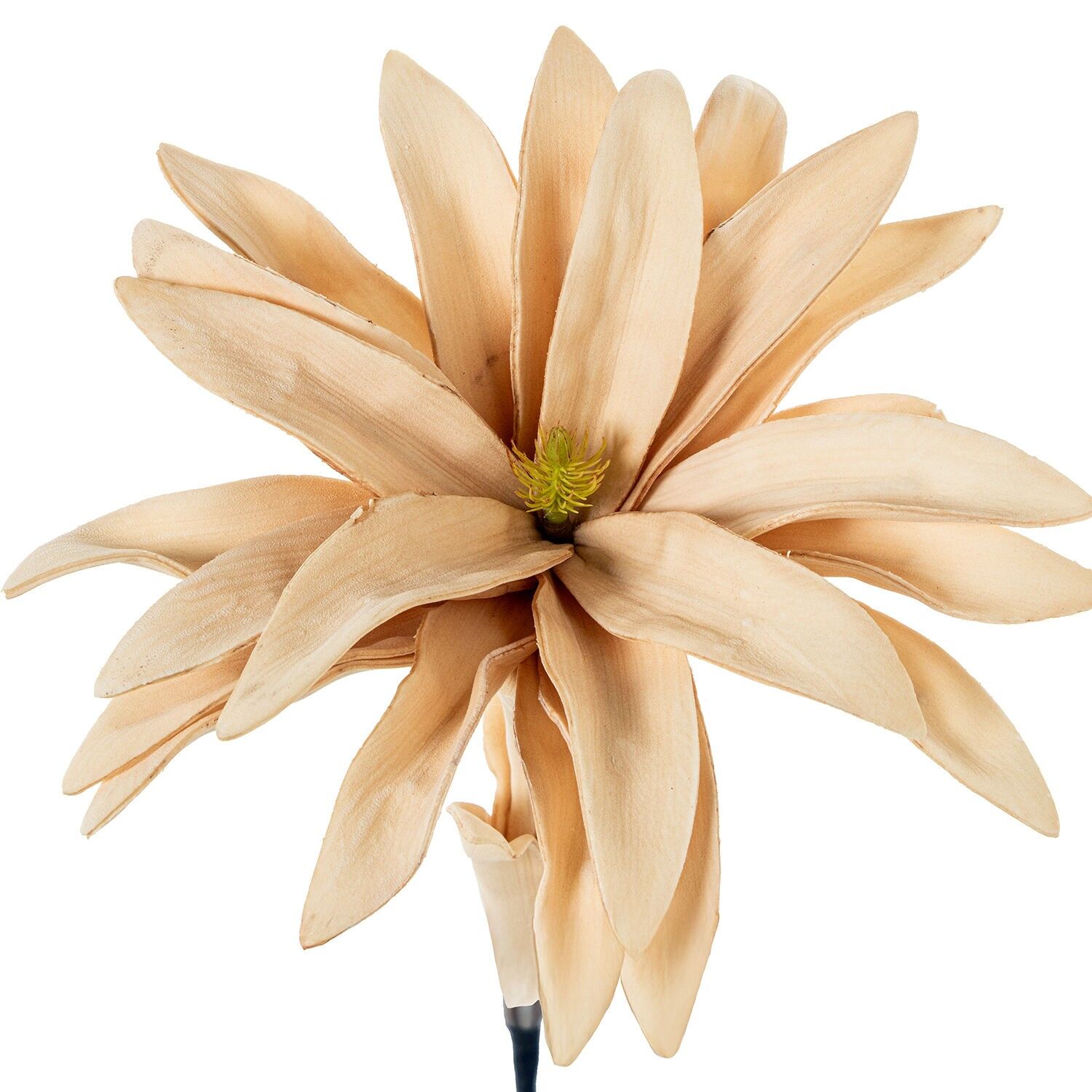 Beige künstliche Blume aus EVA-Schaum, Kunststoff und Papier, 20 x 65 cm ST27373