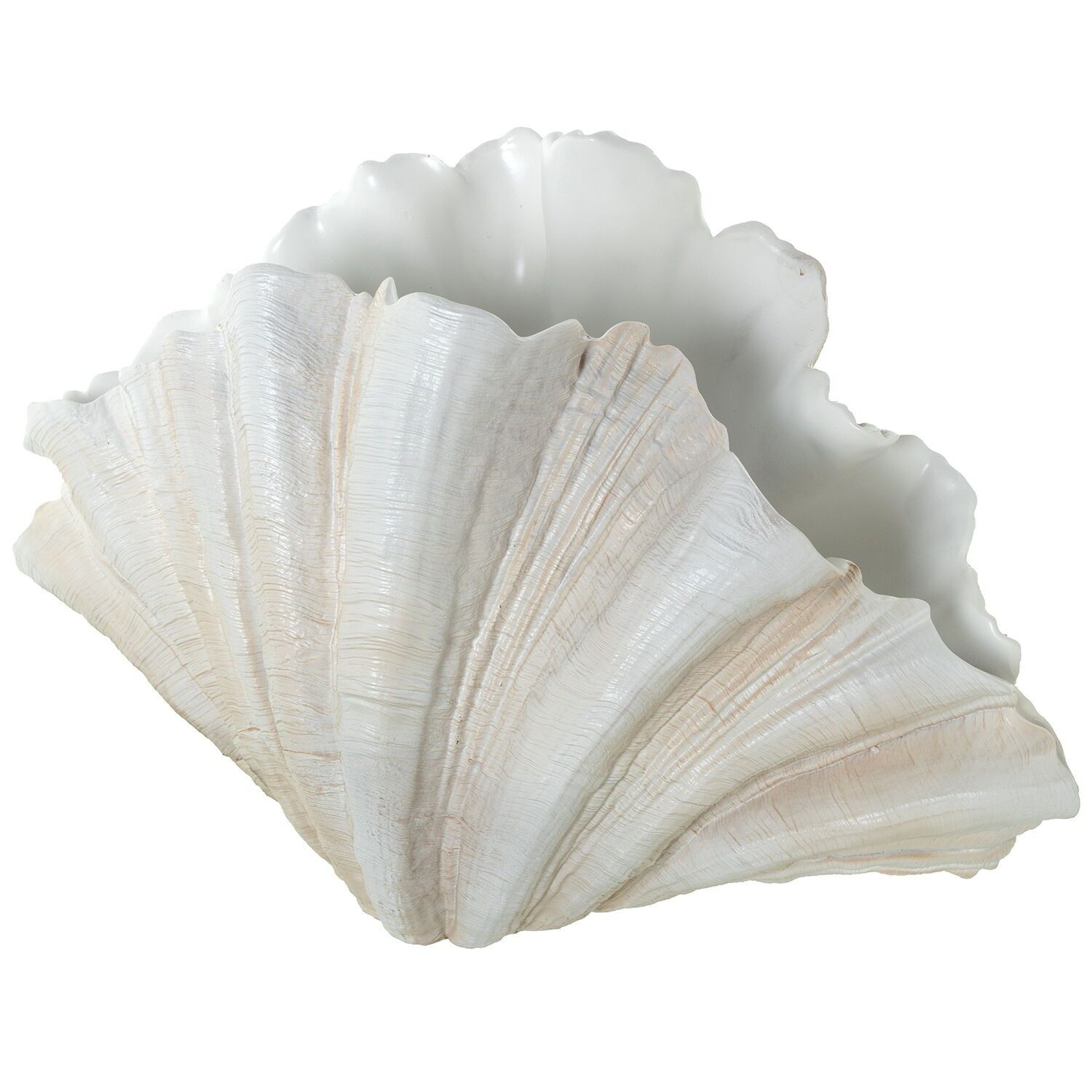 Vase aus Kunstharz, Muschelform, Figur, 57 x 31 x 36 cm, ST50841