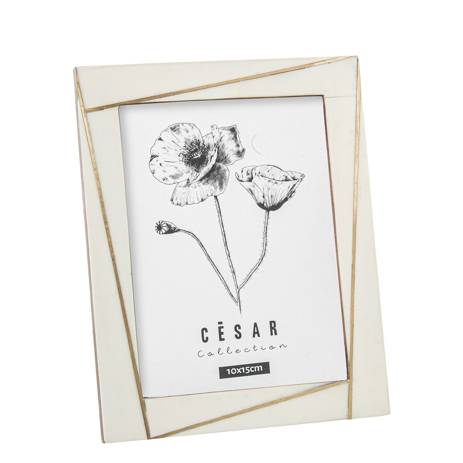 Bilderrahmen 10x15cm aus Kunstharz und Knochen mit Holzsockel 10x15cm ST62603