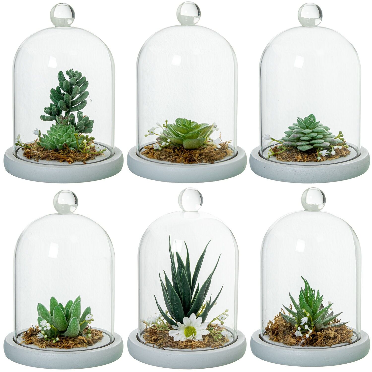 Urna in vetro con base in legno e cactus artificiali assortiti 11,5x14,5cm ST10680