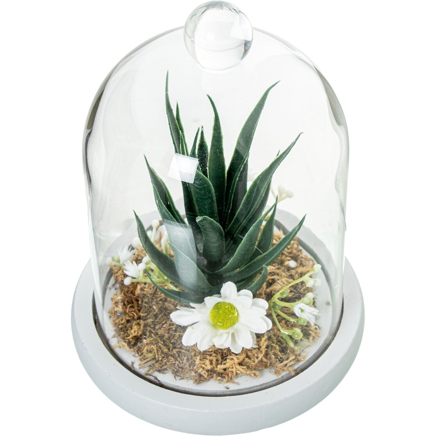 Urna cristal con base madera y cactus artificiales surt 11, 5x14, 5cm ST10680